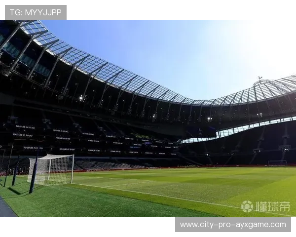 托特纳姆热刺直塞加速撕裂两层区域结构