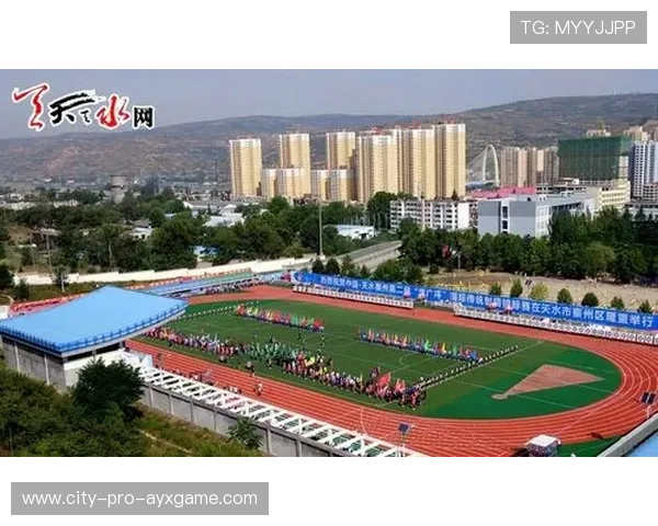 国际射箭线上教学平台启动教师等级认证体系